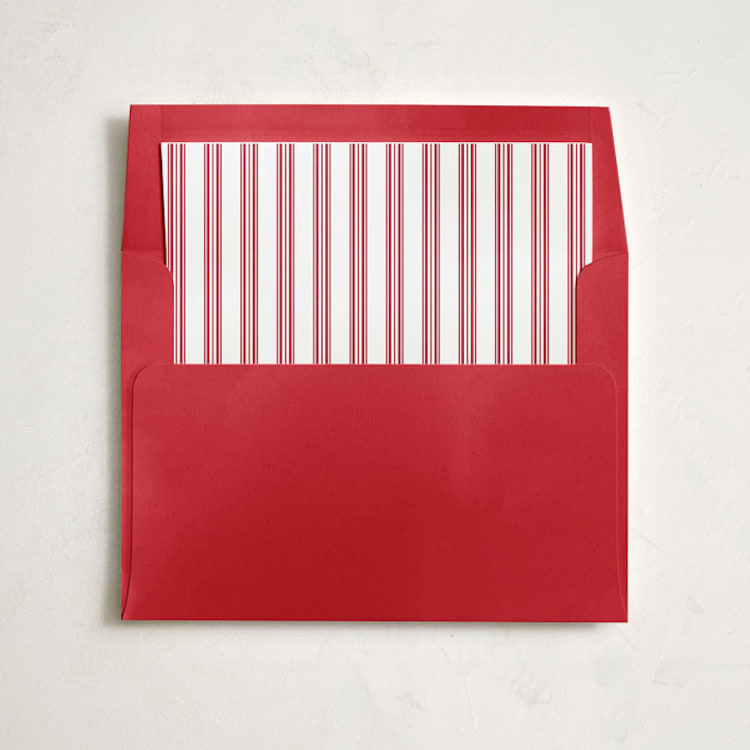 "Petite Plume Antique Red Ticking" - Slip-In Envelope Liners in Cherry by Minted - Liner in envelope