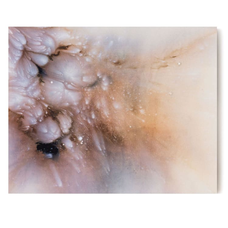 "Plumes" - Original Painting in pink by Christa
