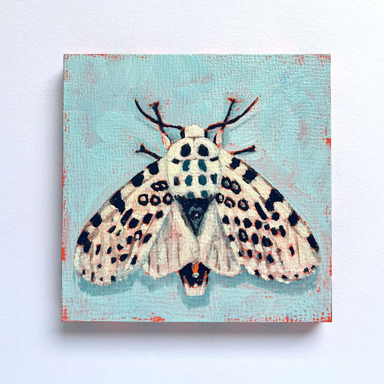 "Mini Moth Oil Painting" - Original Painting in multicolorassorted-colors by Holly Whitcomb