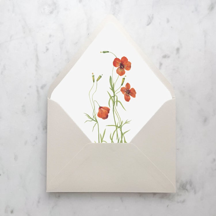 "A7 Envelope Liners Red Poppies (set of 10)" - Envelope Liners in red by Design by Laney