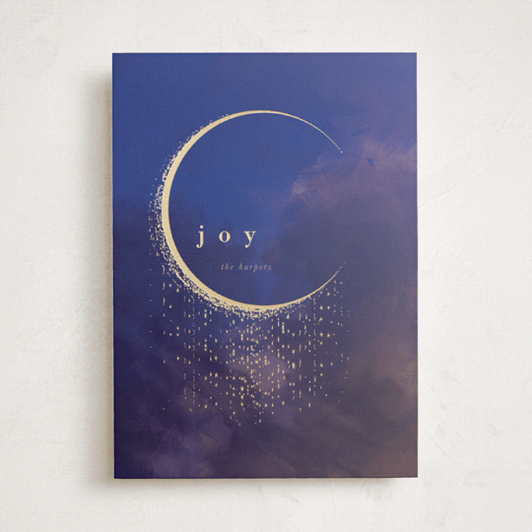 "Moon" - Minted x The Met Holiday Cards in Cobalt by lori jacobs wemple - Front