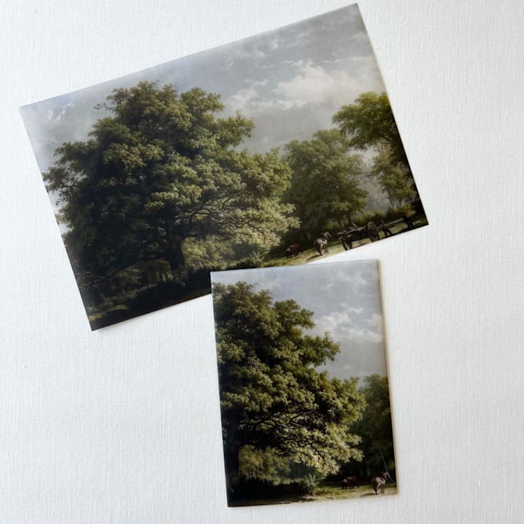 "Oak Tree Vellum Wrap | Set of 10" - Invitation Jackets and Overlays in multicolorassorted-colors by Eva Friesen