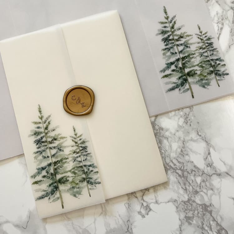 "Evergreen Tree Vellum Jackets (10 Pack)" - Invitation Jackets and Overlays in clear by Carley Zuercher