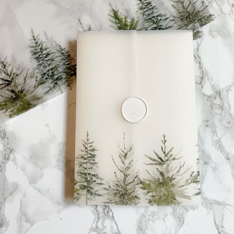 "Evergreen Greenery Vellum Jackets (10 Pack)" - Invitation Jackets and Overlays in clear by Carley Zuercher
