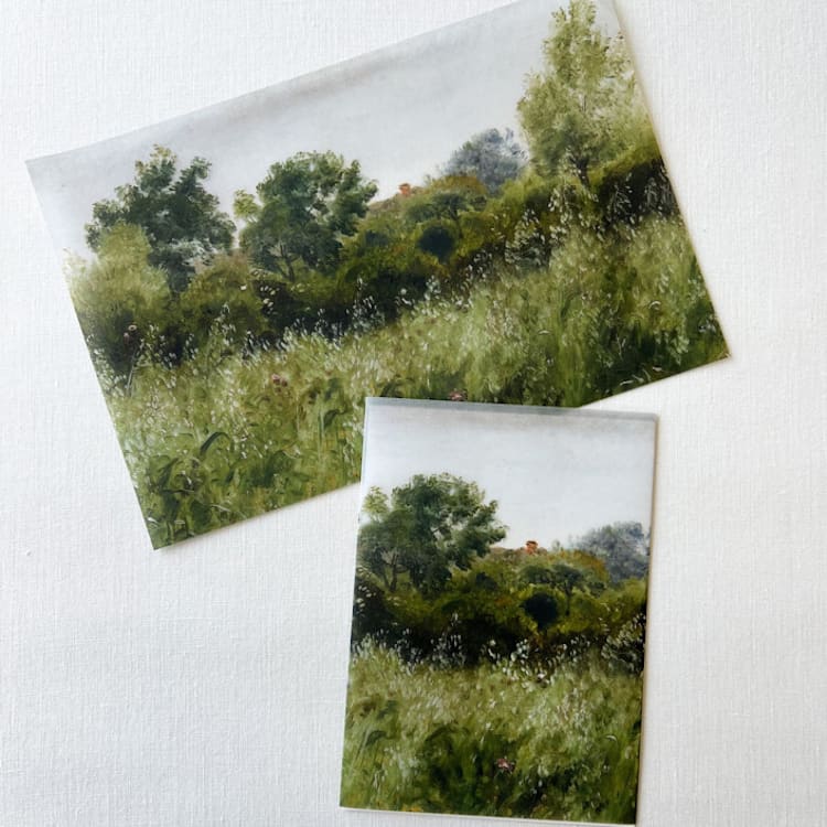 "Fine Art Tree Vellum Wrap | Set of 10" - Invitation Jackets and Overlays in multicolorassorted-colors by Eva Friesen