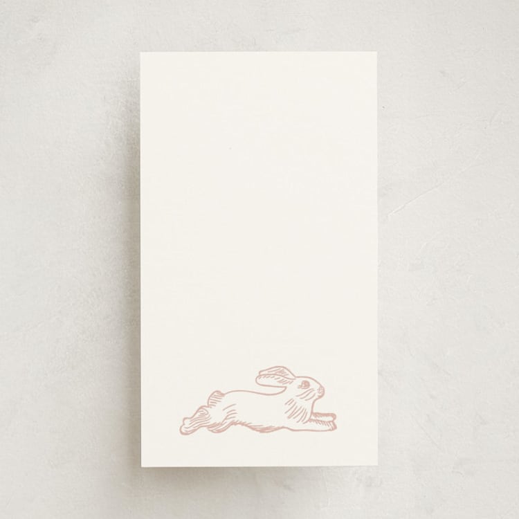 "Flying Bunny" - Mini Note Cards in Petal by Zani van Zyl - Front