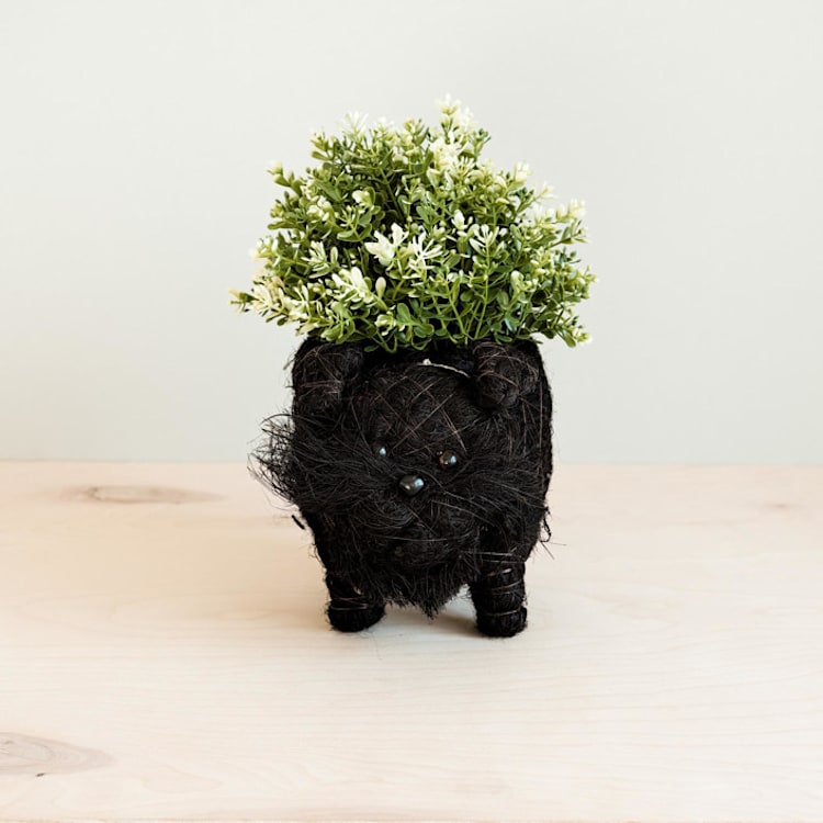 "Schnauzer Planter" - Planters in black by LIKHA