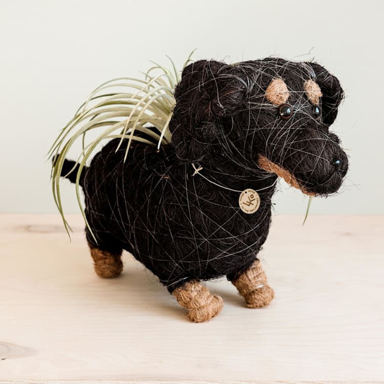 "Dachshund Planter" - Planters in black by LIKHA