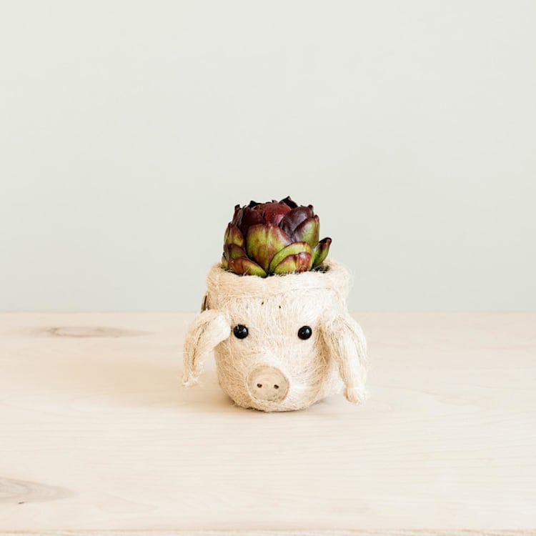 "Mini Pot Pig Planter" - Planters in natural by LIKHA
