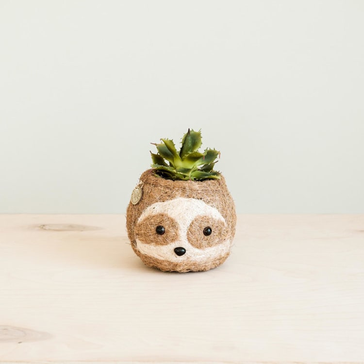"Mini Pot 2-tone (light) Sloth Planter" - Planters in brown by LIKHA