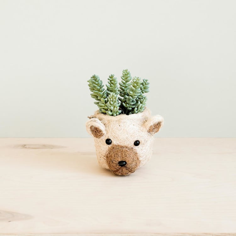 "Mini Pot Bear Planter" - Planters in natural by LIKHA