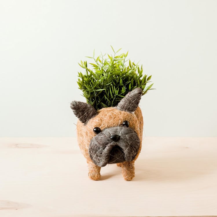 "French Bulldog Planter" - Planters in brown by LIKHA