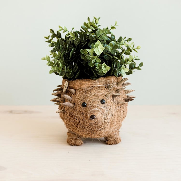 "Hedgehog Planter" - Planters in brown by LIKHA