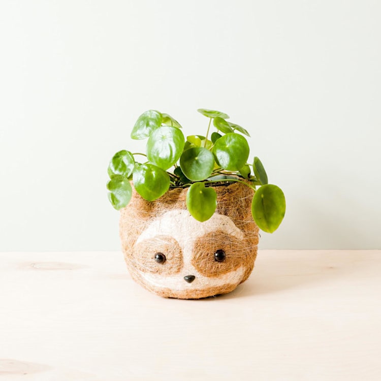 "Sloth Head (2-tone/light) Planter" - Planters in brown by LIKHA