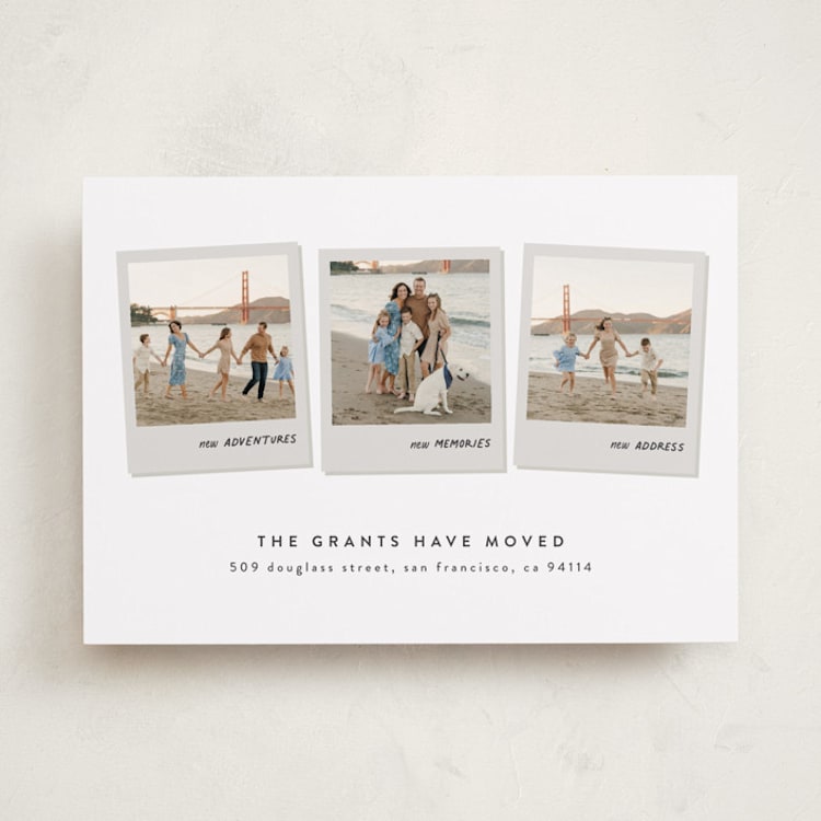 "Snapshots" - Moving Announcements in Tire Swing by Alexandra Cohn - Front