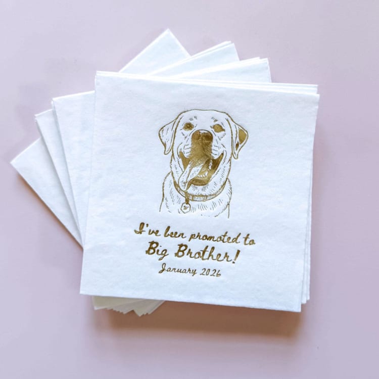 "Pregnancy Announcement Party Napkin | Dog Mom Baby Shower Napkin | Set of 50" - Napkins in multicolorassorted-colors by Alyssa Cook