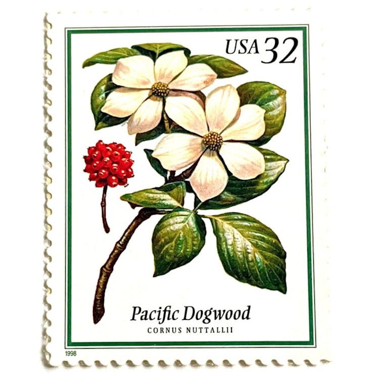 "Pacific Dogwood Postage Stamps | Flowering Trees | White Flower | Wedding Stamps | Vintage Unused USPS Postage 32c | Pack of 10" - Postage Stamps in white by Heritage Post House