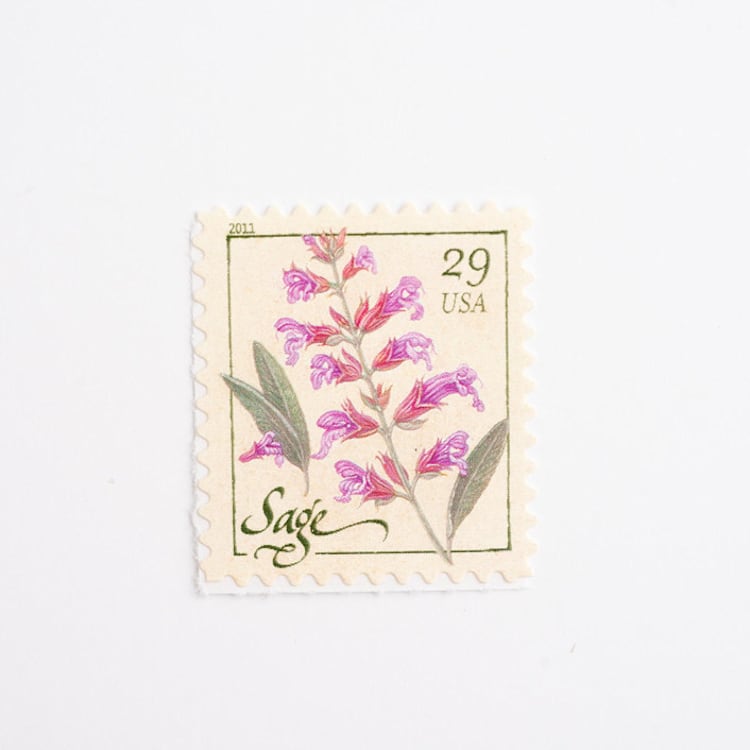 "29 Cent Sage Herb Postage Stamps // Set of 5 // UNUSED Vintage Stamps" - Postage Stamps in pink by Flourish Fine Writing