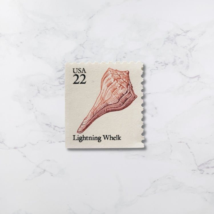 "Lightning Whelk | Vintage Stamp, 22 cents, 1985 | 5 each" - Postage Stamps in beige by The Silver Stamps