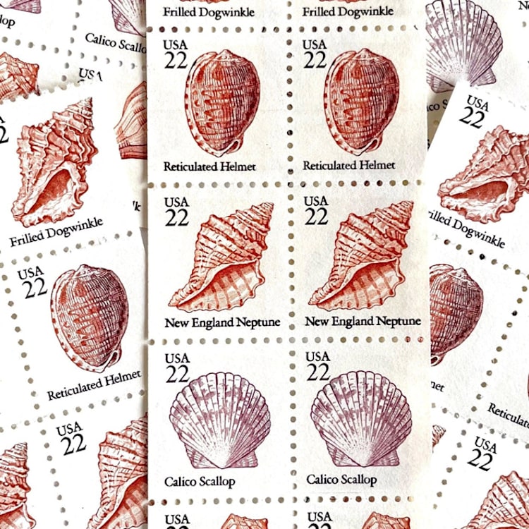 "Seashells Set of 5 Postage Stamps | Wedding Stamps | Vintage Unused USPS Postage | 22c/stamp | $1.10/set of 5 | Pack of 5 Sets (25 Stamps Total)" - Postage Stamps in pink by Heritage Post House