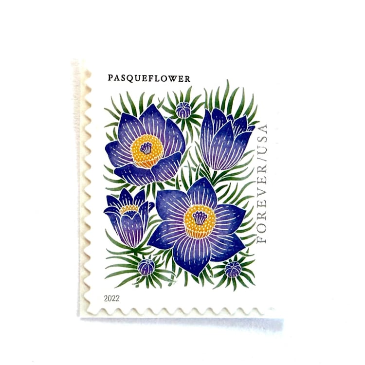 "Pasqueflower Postage Stamps | Mountain Flora Series | Blue Flower | Easter Botanical | Wedding Stamps | Vintage Unused USPS Postage Forever Stamps | Pack of 10" - Postage Stamps in purple by Heritage Post House