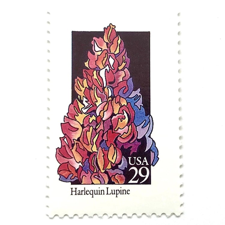 "Harlequin Lupine Postage Stamps | American Wildflower Series | Pink Purple Flower | Botanical | Wedding Stamps | Vintage Unused USPS Postage 29c | Pack of 10" - Postage Stamps in pink by Heritage Post House