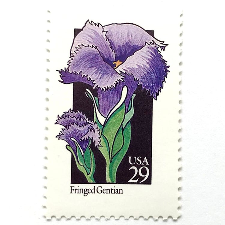 "Fringed Gentian Postage Stamps | American Wildflower Series | Purple Flower | Botanical | Wedding Stamps | Vintage Unused USPS Postage 29c | Pack of 10" - Postage Stamps in purple by Heritage Post House