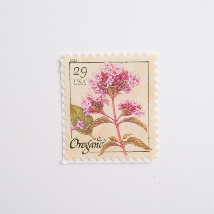 "29 Cent Oregano Postage Stamps // Set of 5 // UNUSED Vintage Stamps" - Postage Stamps in pink by Flourish Fine Writing