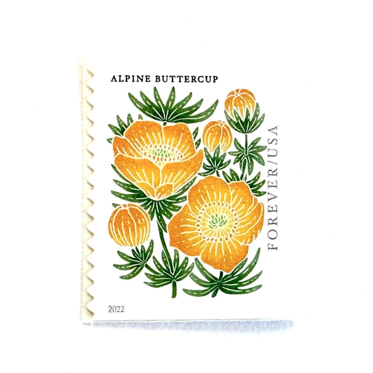 "Alpine Buttercup Postage Stamps | Mountain Flora Series | Yellow Flower | Botanical | Wedding Stamps | Vintage Unused USPS Postage Forever Stamps | Pack of 10" - Postage Stamps in yellow by Heritage Post House