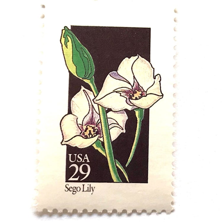 "Sego Lily Postage Stamps | American Wildflower Series | White Flower | Botanical | Wedding Stamps | Vintage Unused USPS Postage 29c | Pack of 10" - Postage Stamps in white by Heritage Post House