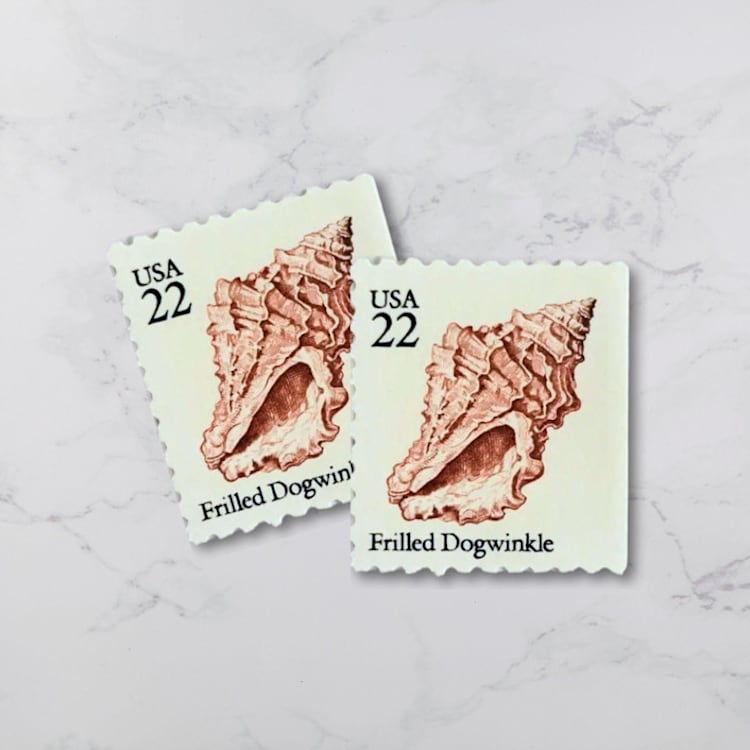 "Frilled Dogwinkle | Vintage Stamp, 22 cents, 1985 | 5 each" - Postage Stamps in beige by The Silver Stamps
