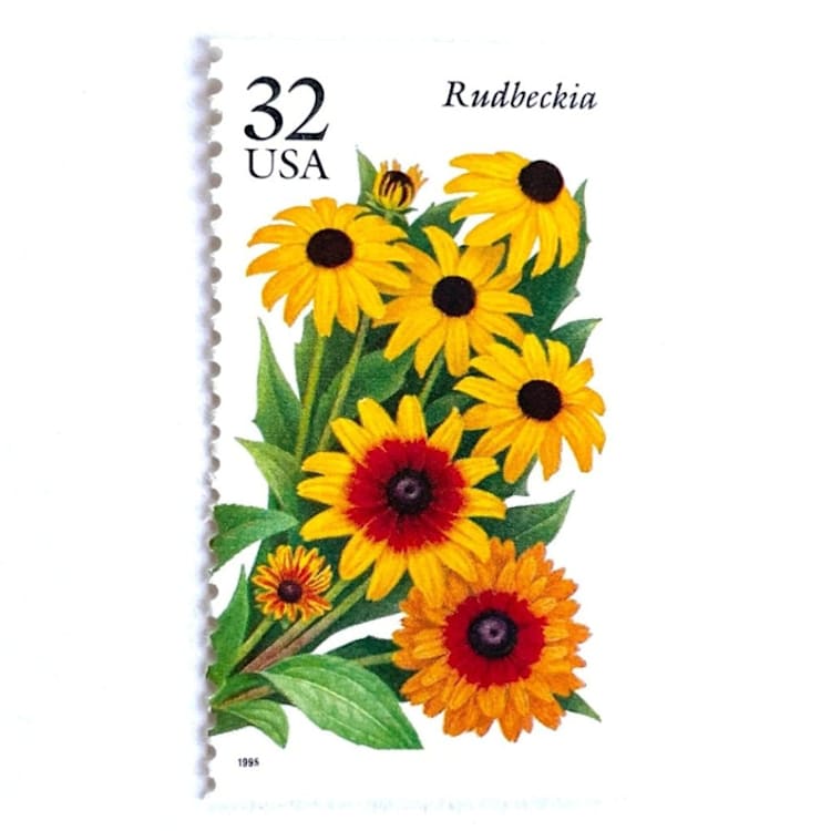 "Rudbeckia Postage Stamps | Black-eyed Susan | Fall Garden Flowers | Garden Flowers Series | Botanical | Wedding Stamps | Vintage Unused USPS Postage 32c | Pack of 10" - Postage Stamps in yellow by Heritage Post House