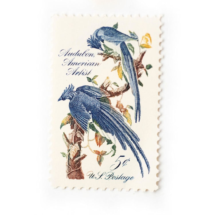 "5 Cent Audubon Blue Jay Postage Stamp // Set of 10 // UNUSED" - Postage Stamps in blue by Flourish Fine Writing