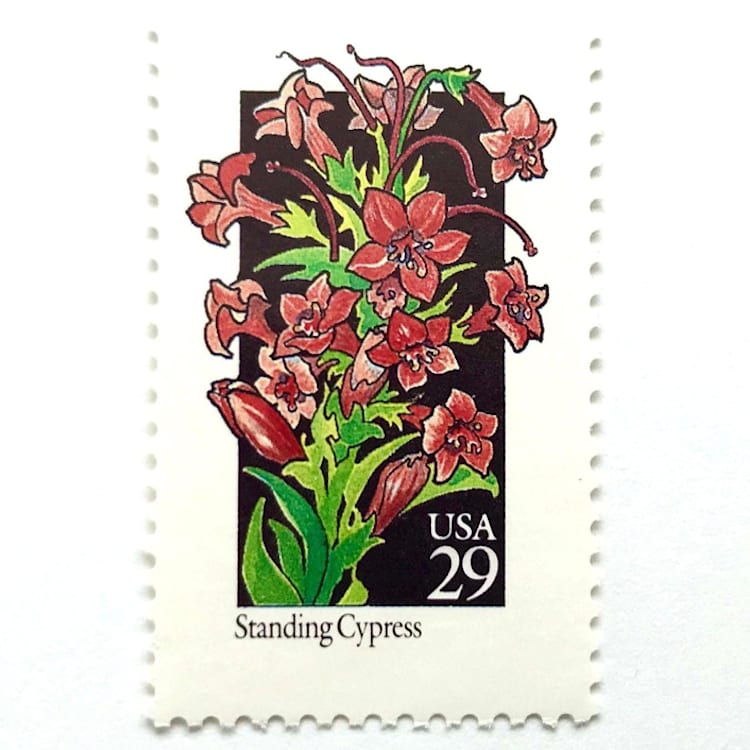 "Standing Cypress Postage Stamps | American Wildflower Series | Red Flower | Botanical | Wedding Stamps | Vintage Unused USPS Postage 29c | Pack of 10" - Postage Stamps in red by Heritage Post House