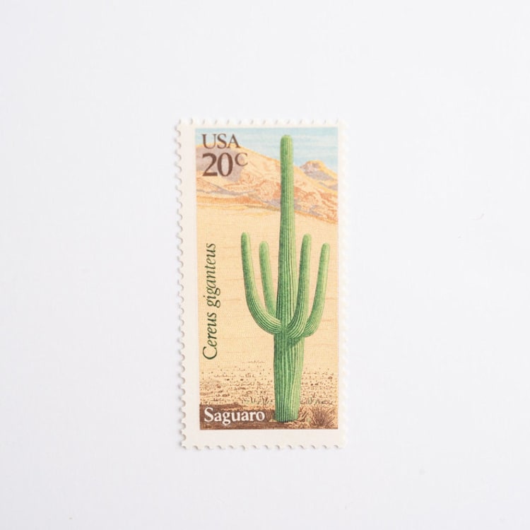 "20 Cent Saguaro Cactus Postage Stamps // Set of 10 // UNUSED Vintage Stamps" - Postage Stamps in green by Flourish Fine Writing