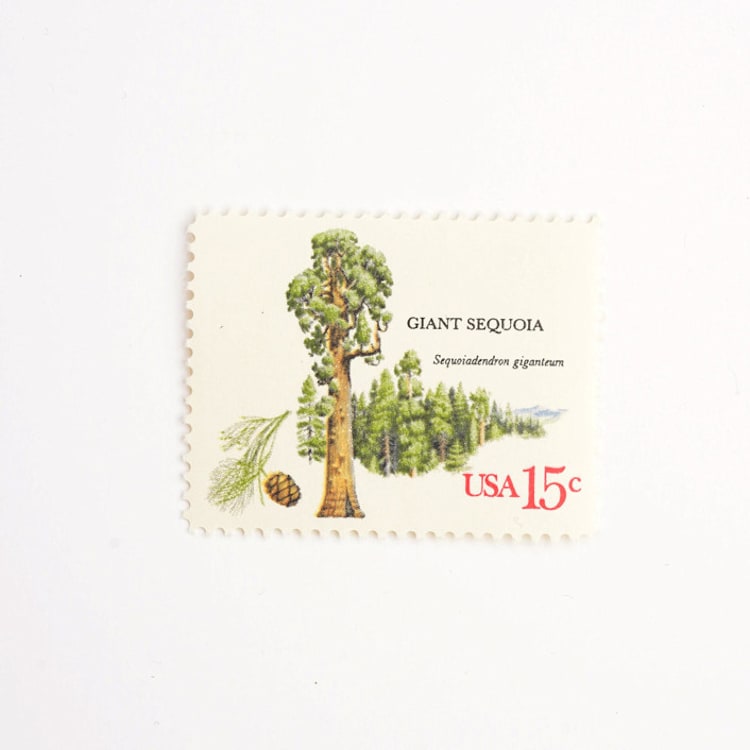"15 Cent Sequoia Tree Postage Stamps // Set of 10 // UNUSED vintage postage" - Postage Stamps in green by Flourish Fine Writing