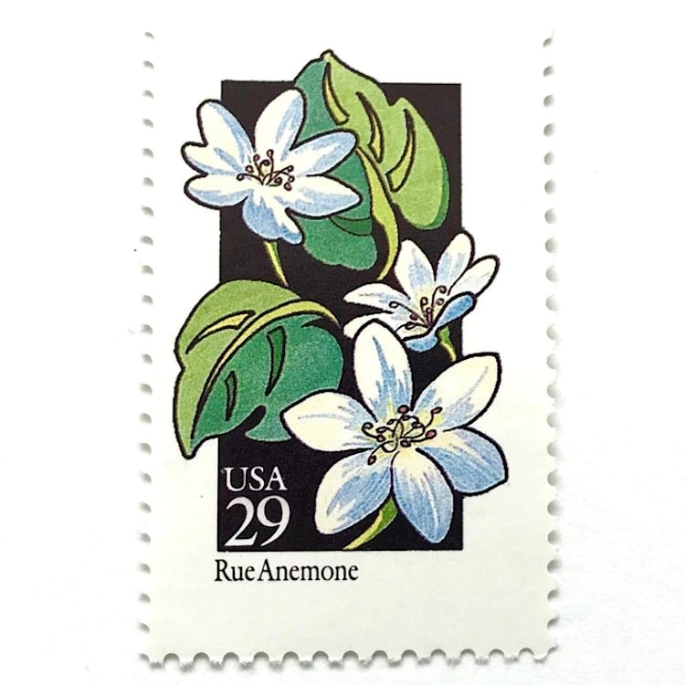 "Rue Anemone Postage Stamps | American Wildflower Series | White Flower | Botanical | Wedding Stamps | Vintage Unused USPS Postage 29c | Pack of 10" - Postage Stamps in white by Heritage Post House