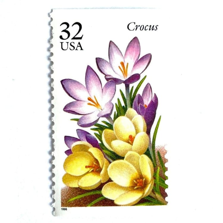 "Crocus Postage Stamps | Winter Garden Flowers Series | Purple & Yellow Flowers | Botanical | Wedding Stamps | Vintage Unused USPS Postage 32c | Pack of 10" - Postage Stamps in purple by Heritage Post House