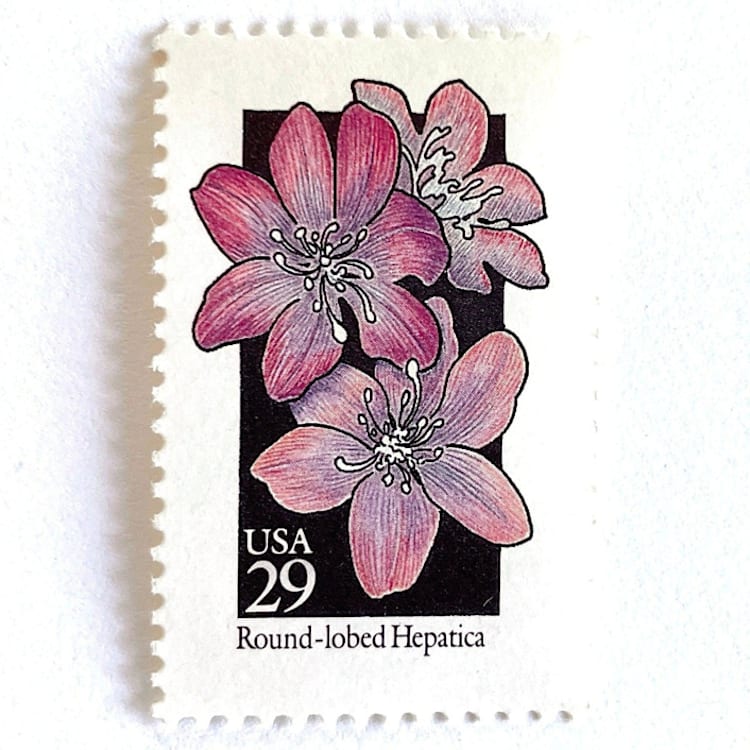 "Round-Lobed Hepatica Postage Stamps | American Wildflower Series | Purple Flower | Botanical | Wedding Stamps | Vintage Unused USPS Postage 29c | Pack of 10" - Postage Stamps in purple by Heritage Post House