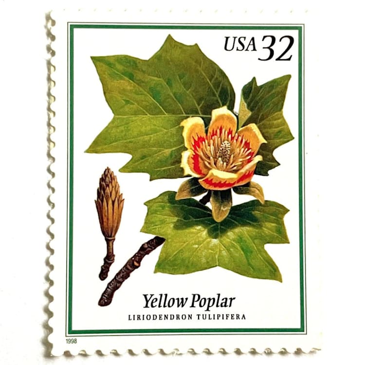 "Yellow Poplar Postage Stamps | Flowering Trees | Indiana and Tennessee State Tree | Wedding Stamp | Vintage Unused USPS Postage 32c | Pack of 10" - Postage Stamps in green by Heritage Post House