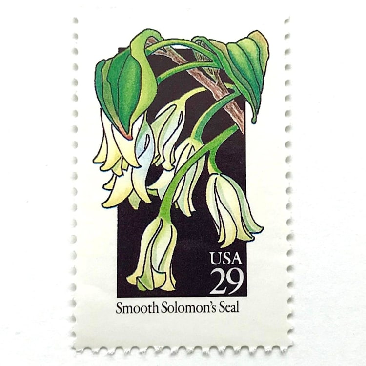 "Smooth Solomon's Seal Postage Stamps | American Wildflower Series | White Flower | Botanical | Wedding Stamps | Vintage Unused USPS Postage 29c | Pack of 10" - Postage Stamps in white by Heritage Post House