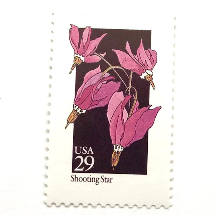 "Shooting Star Postage Stamps | American Wildflower Series | Pink Flower | Botanical | Wedding Stamps | Vintage Unused USPS Postage 29c | Pack of 10" - Postage Stamps in pink by Heritage Post House