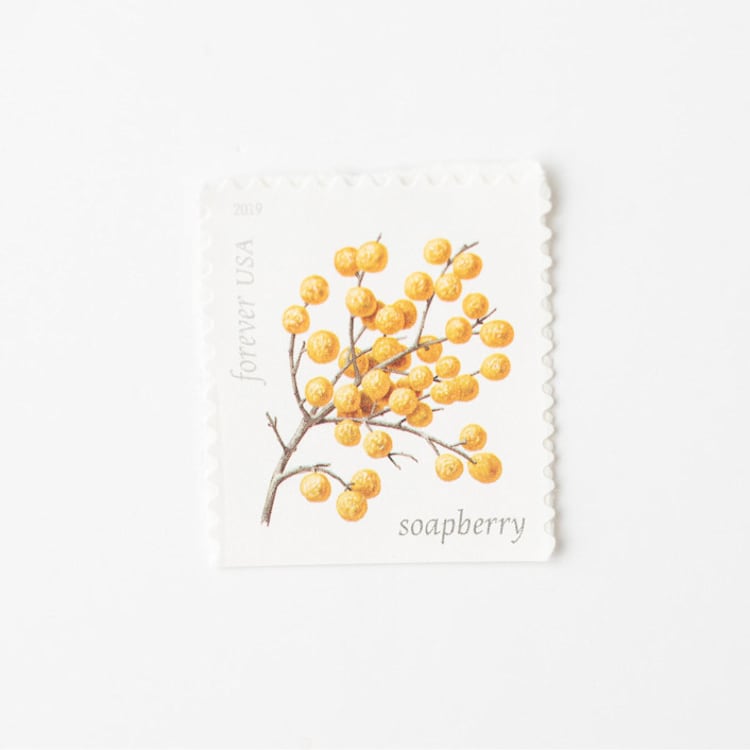 "Yellow Soapberry Forever Stamps // Set of 10 // UNUSED Vintage Stamps" - Postage Stamps in yellow by Flourish Fine Writing