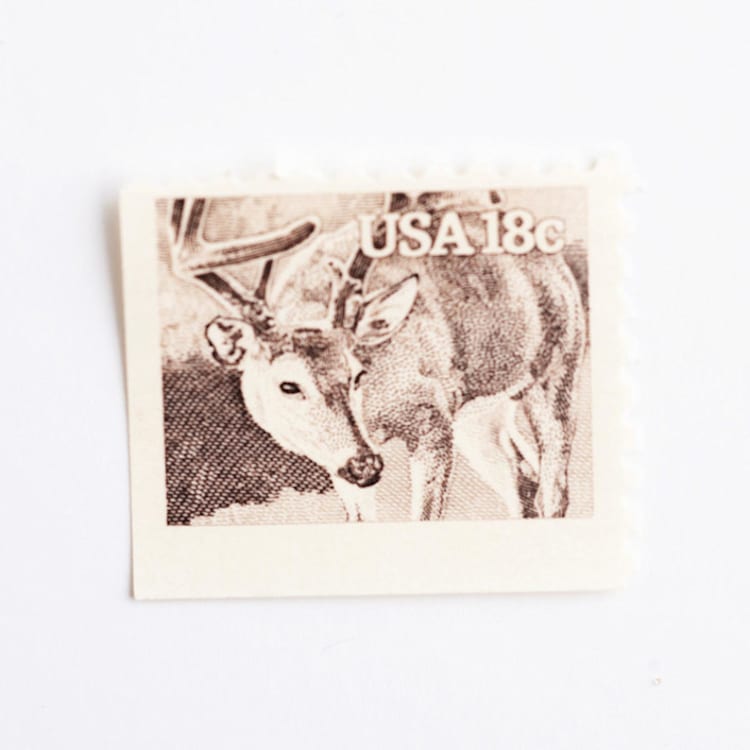 "18 Cent White-Tailed Deer Postage Stamps // Set of 10 // UNUSED Vintage Stamps" - Postage Stamps in beige by Flourish Fine Writing
