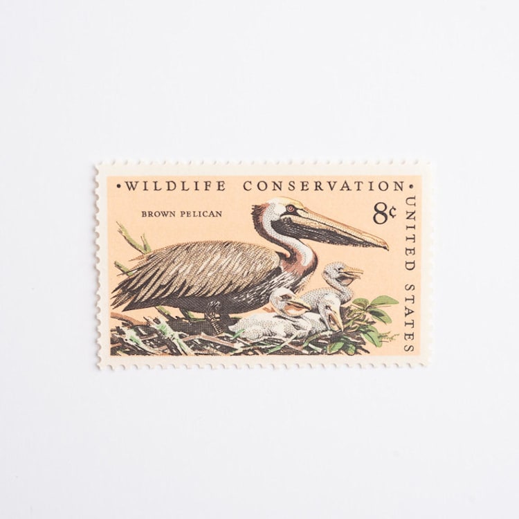 "8 Cent Brown Pelican Postage Stamps // Set of 10 // UNUSED Vintage Postage" - Postage Stamps in beige by Flourish Fine Writing