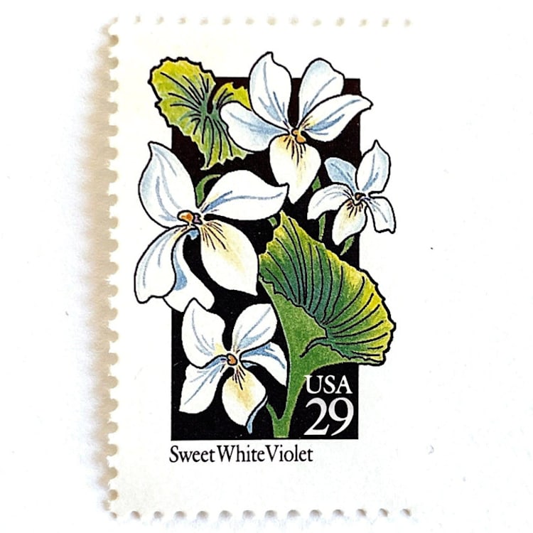 "Sweet White Violet Postage Stamps | American Wildflower Series | White Green Flower | Botanical | Wedding Stamps | Vintage Unused USPS Postage 29c | Pack of 10" - Postage Stamps in white by Heritage Post House