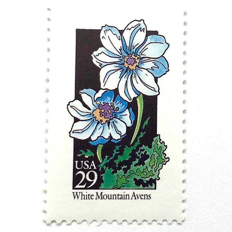 "White Mountain Avens Postage Stamps | American Wildflower Series | White Flower | Botanical | Wedding Stamps | Vintage Unused USPS Postage 29c | Pack of 10" - Postage Stamps in white by Heritage Post House