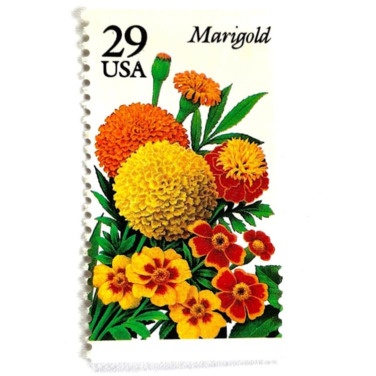 "Marigold Postage Stamps | Summer Garden Flowers Series | Yellow Orange Flowers | Botanical | Wedding Stamps | Vintage Unused USPS Postage 29c | Pack of 10" - Postage Stamps in orange by Heritage Post House