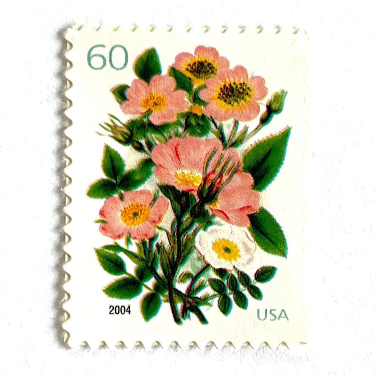 "Garden Botanical Postage Stamps | Wedding Series | Botanical | Wedding Stamps | Vintage Unused USPS Postage 60c | Pack of 10" - Postage Stamps in pink by Heritage Post House