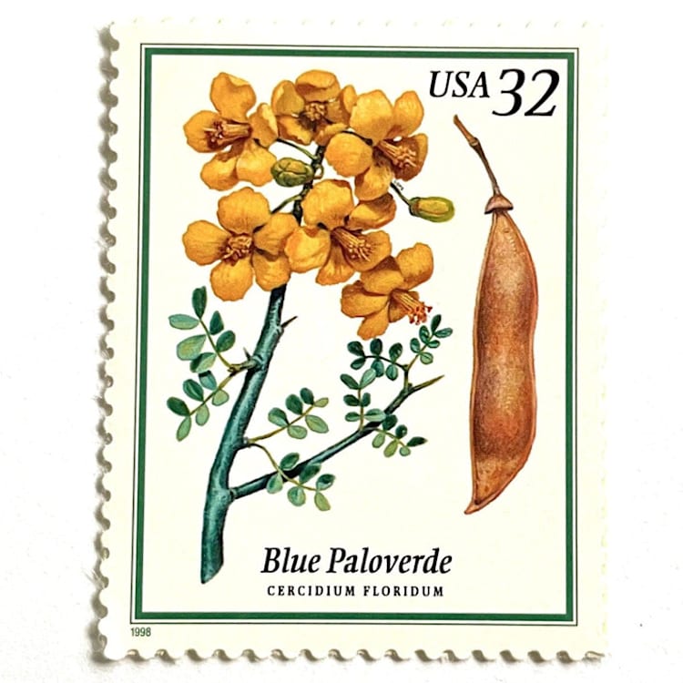 "Blue Paloverde Postage Stamps | Flowering Trees | Arizona State Tree | Southwestern | Yellow Flower | Wedding Stamps | Vintage Unused USPS Postage 32c | Pack of 10" - Postage Stamps in yellow by Heritage Post House